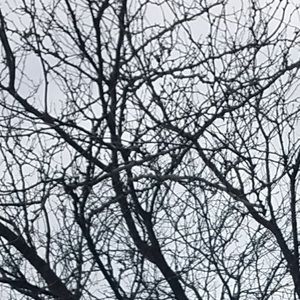 Meet your Posher, Esther andrea